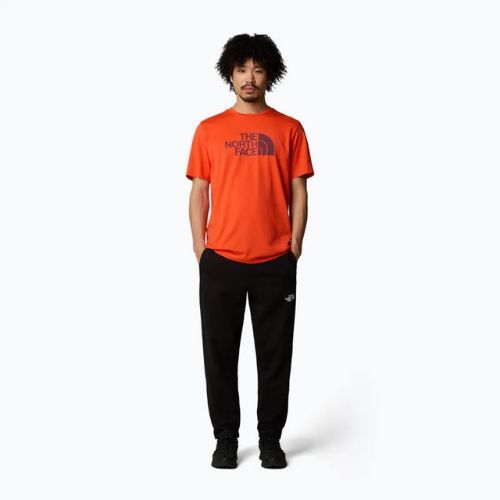 Мъжка тениска The North Face Easy crimson orange/alpine plum