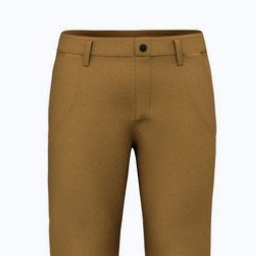 Мъжки панталони за трекинг Salewa Fanes Hemp golden brown