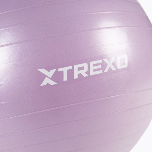 Гимнастическа топка TREXO TXO-B4Z008-VT 65 cm рurple