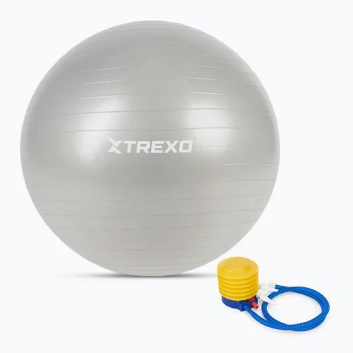 Гимнастическа топка TREXO TXO-B4Z009-GY 75 cm grey