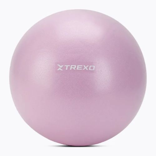 Мини гимнастическа топка XTREXO TXO-B4Z011-VT 25 cm purple