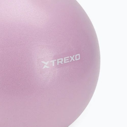 Мини гимнастическа топка TREXO TXO-B4Z011-VT 25 cm purple