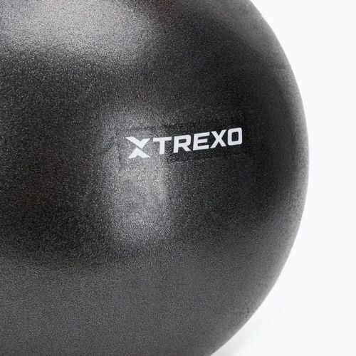 Мини гимнастическа топка TREXO TXO-B4Z011-BK 25 cm black