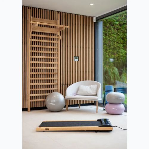 Електрическа пътека за бягане XTREXO TXO-W250 black/brown