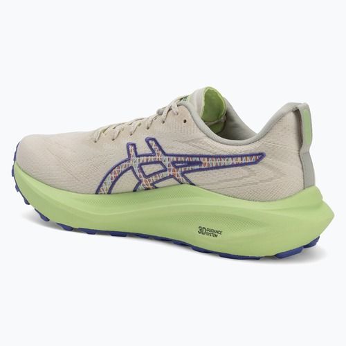 ASICS GT-2000 13 TR мъжки обувки за бягане nature bathing/lime green