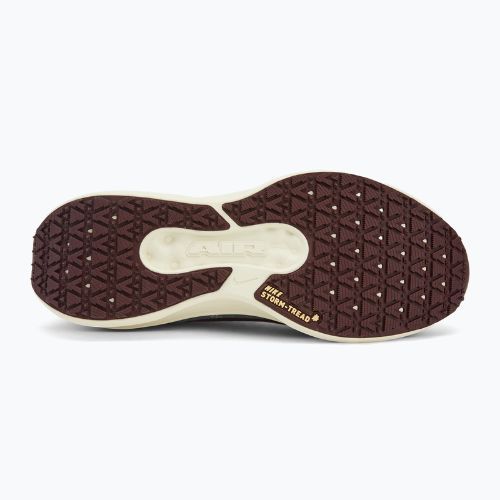 Мъжки обувки за бягане Nike Winflo 11 GORE-TEX light pumice/dk smokegrey/burgundycrush/ashenslate