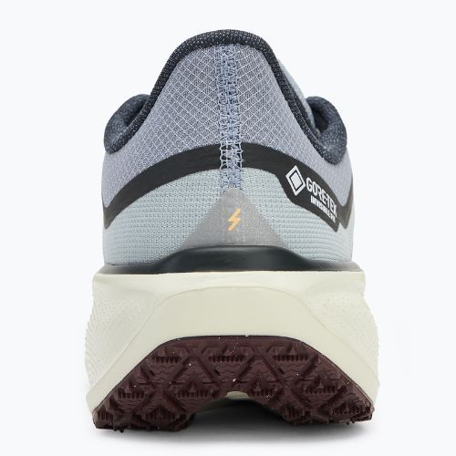 Мъжки обувки за бягане Nike Pegasus 41 GTX ight pumice/ burgundy crush/ dark smoke grey/ ashen slate