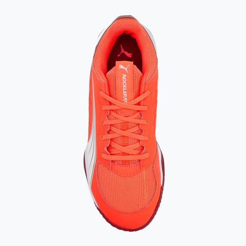 Детски обувки за хандбал PUMA Accelerate Jr светещо червено/бяло/тъмно малиново/черно