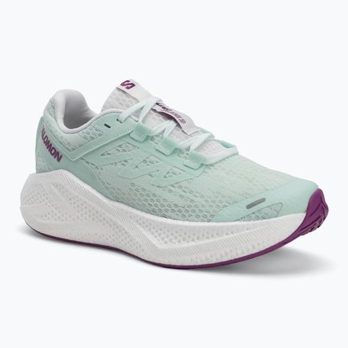 Дамски обувки за бягане Salomon Aero Glide 3 bay/white/wilowherb