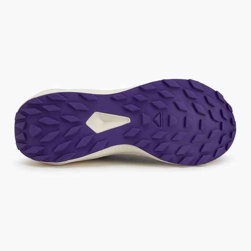 Salomon Alphaglide дамски обувки за бягане phantom/vanilla ice/liberty