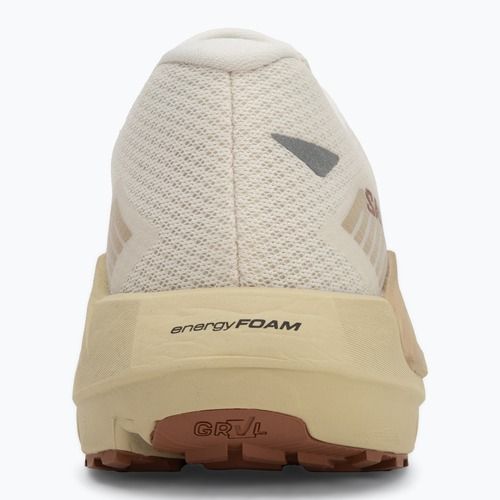 Мъжки обувки за бягане Salomon Drx Defy GRVL vanilla ice/green haze/white pepper