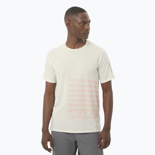 Мъжка тениска за бягане Salomon Sense Aero Tee GFX icicle/neon flame
