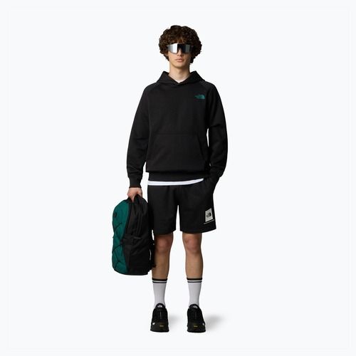 Мъжки къси панталони за трекинг The North Face Box Nse Regular tnf black/tnf white