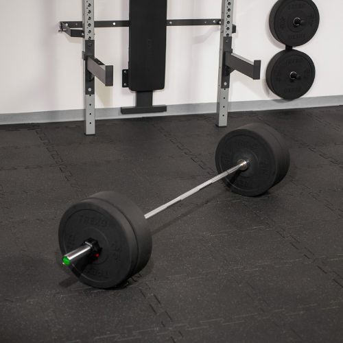 Олимпийски грифон XTREXO TX-OBB220 сив