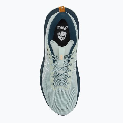 ASICS GT-1000 14 TR nature bathing/lichen rock мъжки обувки за бягане