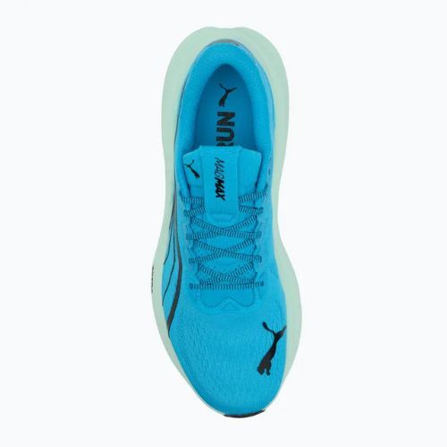 Мъжки обувки за бягане PUMA MagMax Nitro mint melt/speed blue