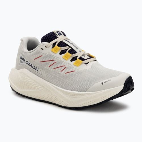 Дамски обувки за бягане Salomon Aero Blaze 3 Gravel GTX vanilla ice/astral aura/lemon