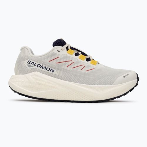 Дамски обувки за бягане Salomon Aero Blaze 3 Gravel GTX vanilla ice/astral aura/lemon