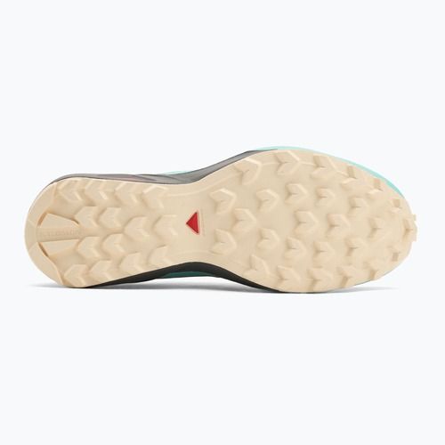 Дамски обувки за бягане Salomon Speedcross Peak icicle/castlerock/aruba blue