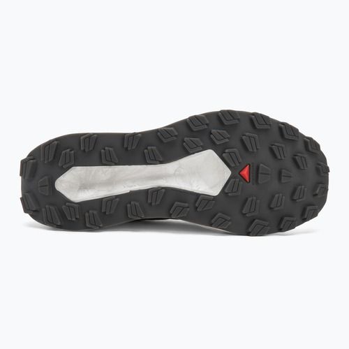 Мъжки обувки за бягане Salomon Vision vanilla ice/lunar/rock/black