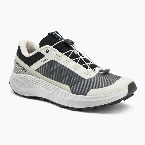 Мъжки обувки за бягане Salomon Vision vanilla ice/lunar/rock/black