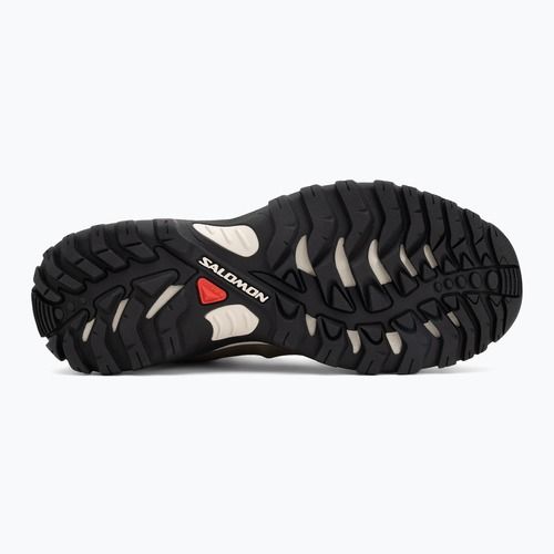 Мъжки обувки за трекинг Salomon Shelter WP stone gray/black/rainy day