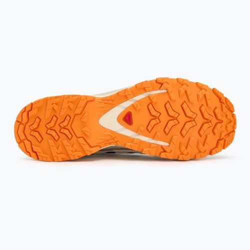 Мъжки обувки за бягане Salomon XA PRO 3D V9 GTX black/vanilla ice/turmeric