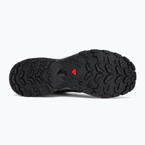 Дамски обувки за бягане Salomon XA Pro 3D V9 black/gull/excalibur