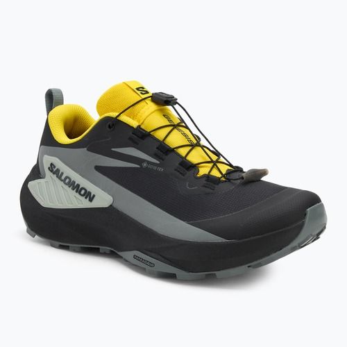 Мъжки обувки за бягане Salomon Genesis GTX black/sedona sage/incaberry