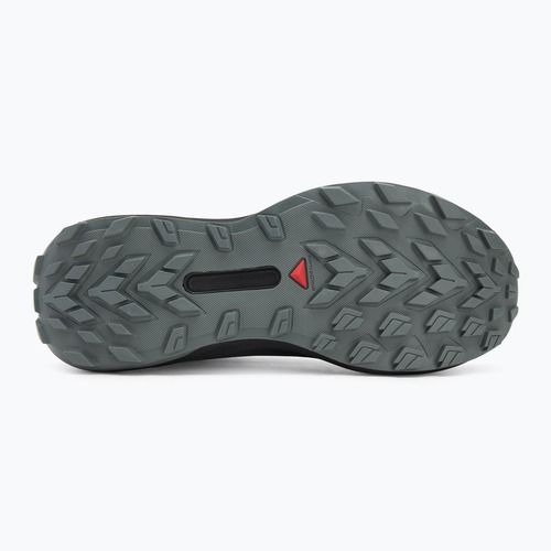 Мъжки обувки за бягане Salomon Genesis GTX black/sedona sage/incaberry