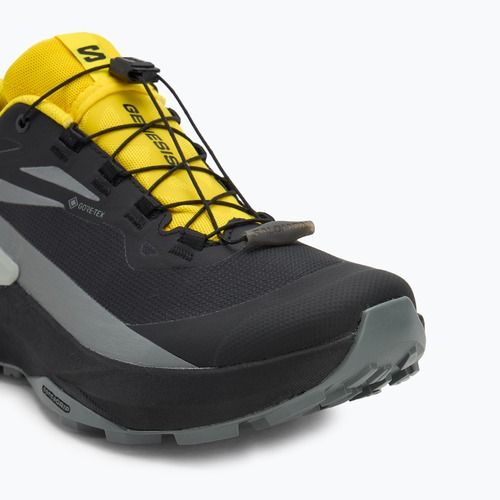 Мъжки обувки за бягане Salomon Genesis GTX black/sedona sage/incaberry