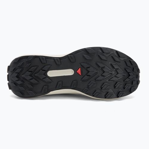 Мъжки обувки за бягане Salomon Genesis GTX black/lunar rock/french blue