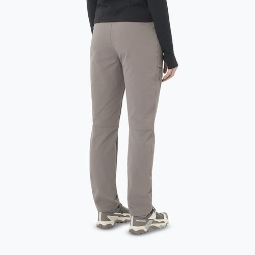 Дамски панталони за трекинг Salomon Wayfarer Warm iron