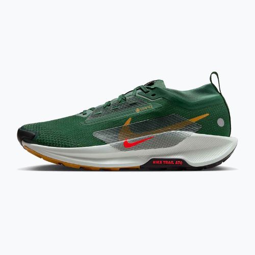 Мъжки обувки за бягане Nike Pegasus Trail 5 GORE-TEX fir/bright crimson/clay green