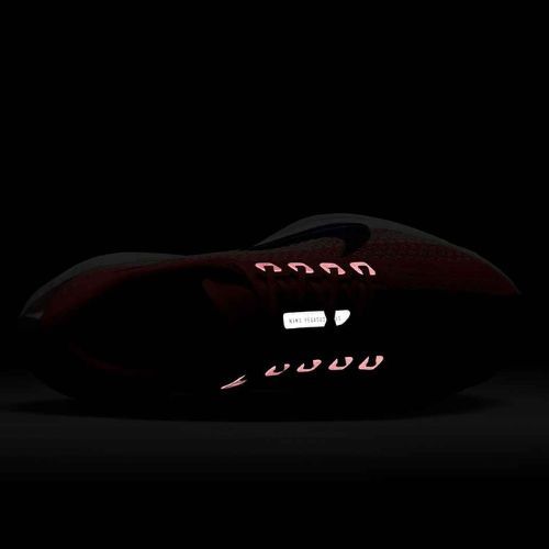 Дамски обувки за бягане Nike Pegasus Plus bright crimson / deep royal blue / silt red