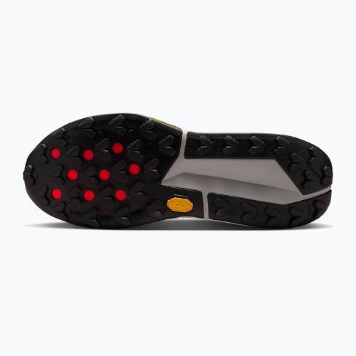 Мъжки обувки за бягане Nike Zegama 2 fir/desert ochre/college grey/sail