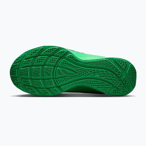 Мъжки обувки за тренировка Nike LeBron TR 1 green strike/fir/green shock
