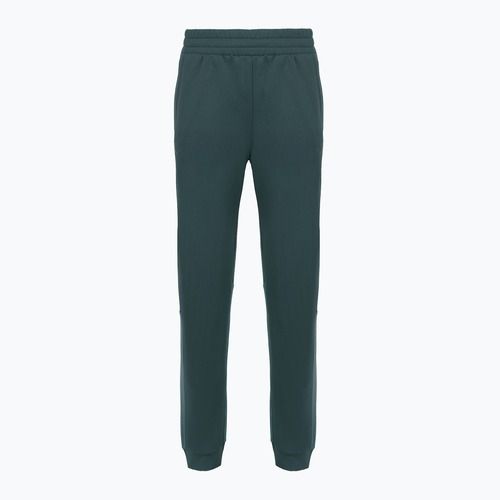Дамски панталони The North Face Mountain Athletics Fleece deep cypress/space
