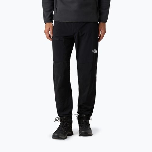 Мъжки софтшел панталони The North Face Speedlight Regular black