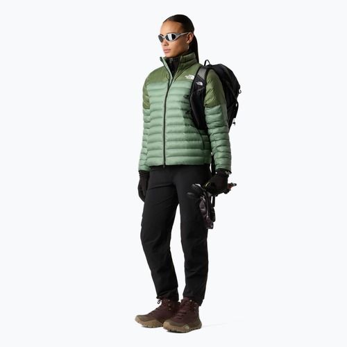 Дамски софтшел панталони The North Face Speedlight Regular black