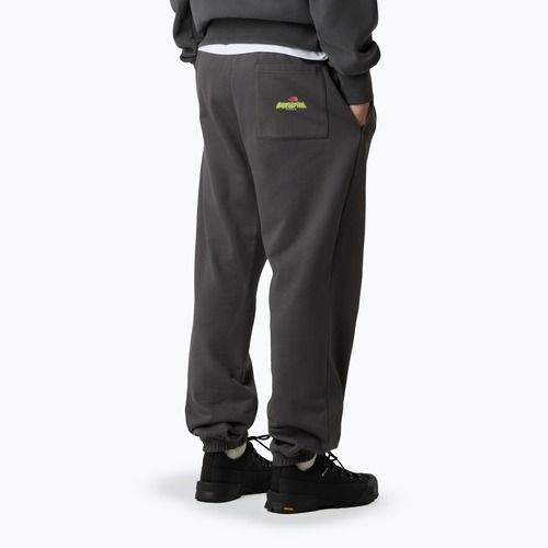 Мъжки панталони The North Face Expedition Celebration Relaxed Jogger Reg, anthracite grey