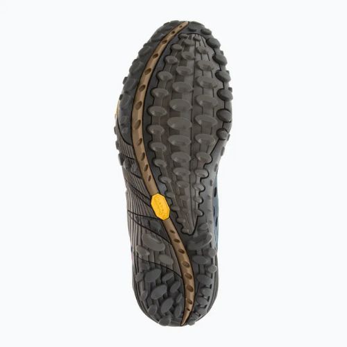 Мъжки туристически обувки Merrell Intercept blue wing