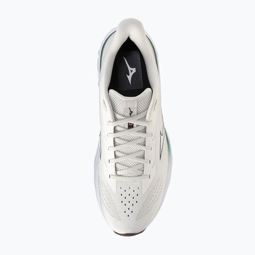 Мъжки обувки за бягане Mizuno Wave Skyrise 7 snow white/north sea/summer sand