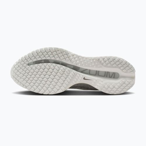 Дамски обувки за бягане Nike Pegasus Premium ESS summit white/pure platinum/white