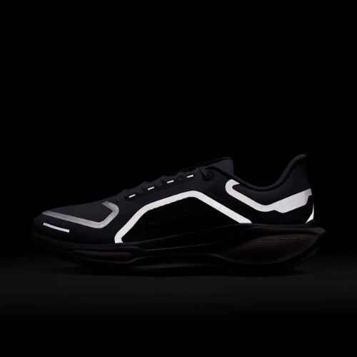 Мъжки обувки за бягане Nike Pegasus 41 GTX light pumice/pure platinum/silt red/metal silver