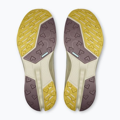 Дамски обувки за бягане On Running Cloudsurfer Trail 2 Waterproof ghost/chalk