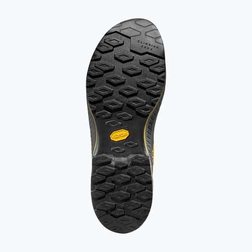 Мъжки обувки за преходи La Sportiva TX4 Evo yellow/purple