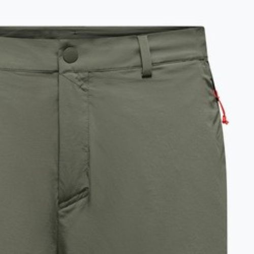 Мъжки шорти за трекинг Salewa Puez Talveno DST faded green