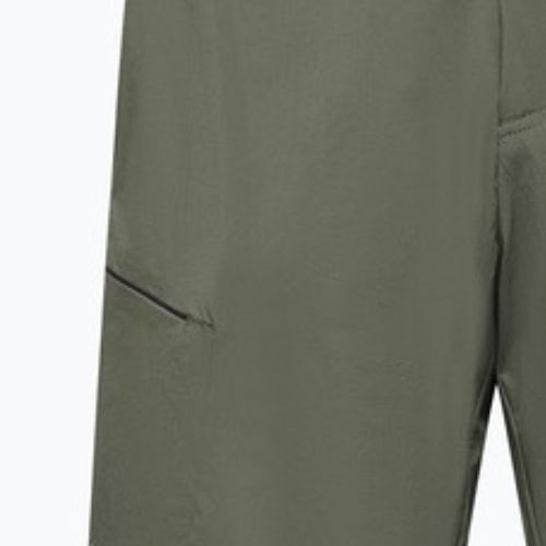 Мъжки шорти за трекинг Salewa Pedroc 4 DST Cargo faded green