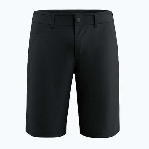Мъжки шорти за трекинг Salewa Fanes Light black out